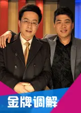 《金牌调解》：直击婚姻困境，情感疗愈的力量，重塑家庭幸福的智慧之光